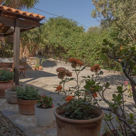Private Pet Friendly Villa Ágios Nikolaos Exterior foto