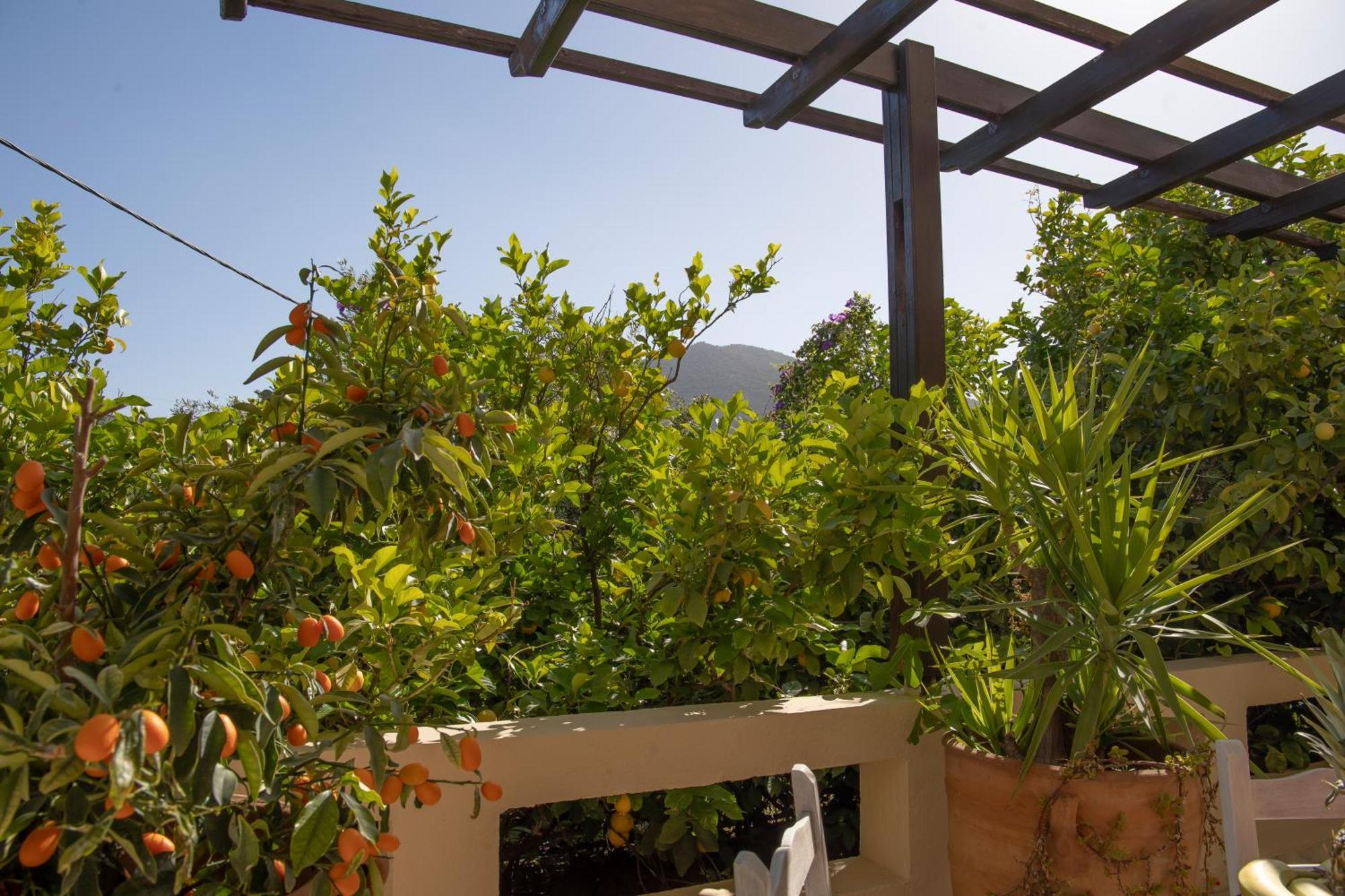 Private Pet Friendly Villa Ágios Nikolaos Exterior foto